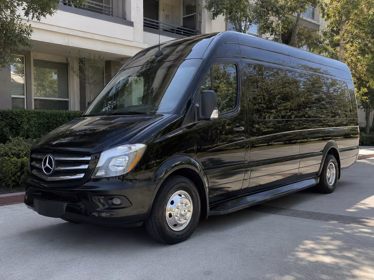 14 passenger sprinter limousine